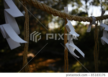 (Traditional scenery) Shimenawa in the precincts Precincts company 85183176