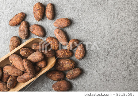 Dried cocoa beans. Cacao beans in scoop. Dried cocoa beans. Cacao beans in scoop. 85183593