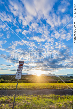 [Biei-cho, Hokkaido] Shinei-no-Oka with beautiful blue sky and clouds September 85183784