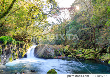 Autumn Kikuchi Gorge Dawn Waterfall Kikuchi City, Kumamoto Prefecture Autumn Kikuchi Gorge Dawn Waterfall Kikuchi City, Kumamoto Prefecture 85184266