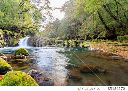 Autumn Kikuchi Gorge Dawn Waterfall Kikuchi City, Kumamoto Prefecture Autumn Kikuchi Gorge Dawn Waterfall Kikuchi City, Kumamoto Prefecture 85184270
