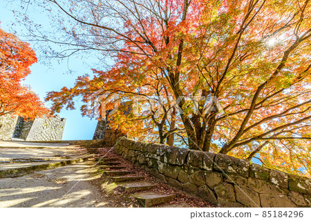 秋天的岡城遺址大分縣竹田市 85184296