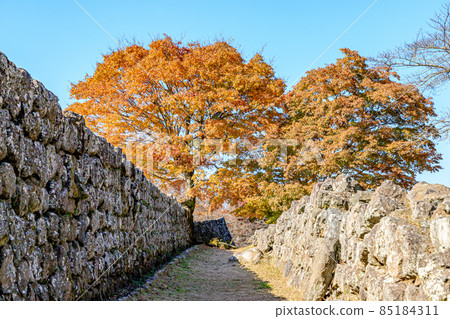Autumn Oka Castle Ruins Taketa City, Oita Prefecture 85184311