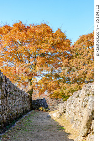 Autumn Oka Castle Ruins Taketa City, Oita Prefecture 85184312