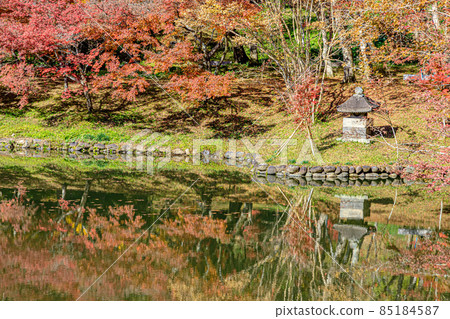 Autumn Yujaku Park, Bungoono City, Oita Prefecture 85184587