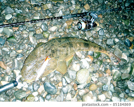 我抓了個平頭 我抓了個平頭 85184869