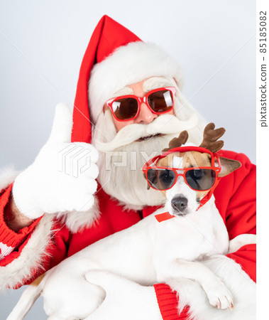 Santa claus and santa's helper in sunglasses on a white background. Jack russell terrier dog in a deer costume. Santa claus and santa's helper in sunglasses on a white background. Jack russell terrier dog in a deer costume. 85185082