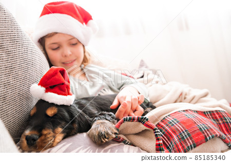 Little christmas girl and cocker spaniel puppy. Happy child in a santa hat holds a dog in his hands Little christmas girl and cocker spaniel puppy. Happy child in a santa hat holds a dog in his hands 85185340