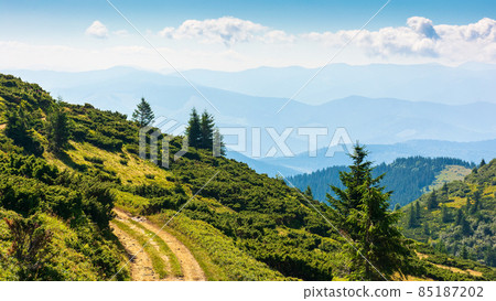 trees and shrubs along the rural road uphill. countryside landscape on a sunny summer morning. mountain ridge in the distance. bright blue sky with clouds. beautiful outdoor green nature background trees and shrubs along the rural road uphill. countryside landscape on a sunny summer morning. mountain ridge in the distance. bright blue sky with clouds. beautiful outdoor green nature background 85187202