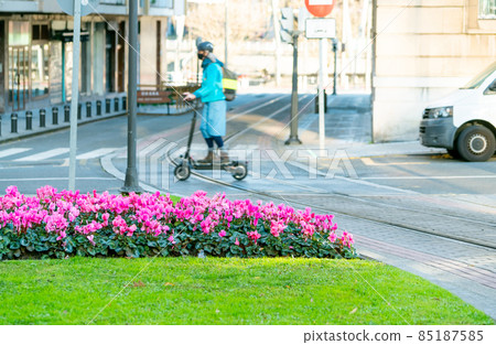 Selective focus pink flowers decor in the garden on the traffic island on blur a man riding electric scooter across railway of city tram. Modern transport in Europe. Electric vehicle. Green transport. 85187585