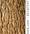 Himalayan sugi bark 85187597