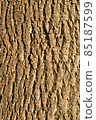 Tree bark 85187599