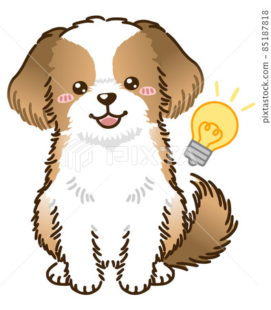 Come up with Shih Tzu (Gold & White) 85187818
