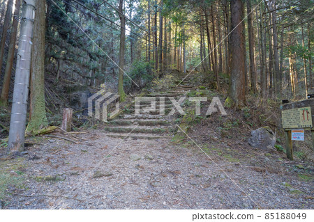 Climbing entrance near Gongen Chaya (Izugatake hiking course in Oku Musashi) Climbing entrance near Gongen Chaya (Izugatake hiking course in Oku Musashi) 85188049