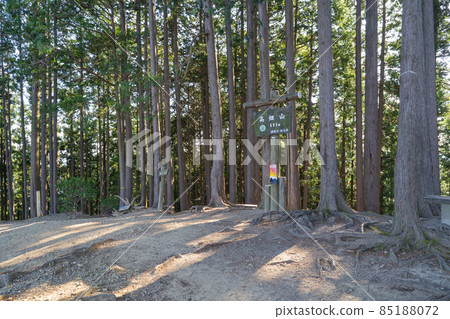 The summit of Mt. Takahata (Izugatake hiking course in Oku Musashi) 85188072
