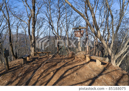The summit of Komitake (Izugatake hiking course in Oku Musashi) 85188075