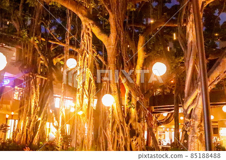 Night view from a hotel in Hawaii 85188488