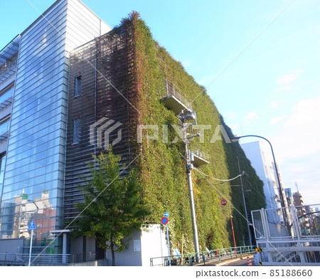 Kanpachi / Chuo Line Underpass 85188660