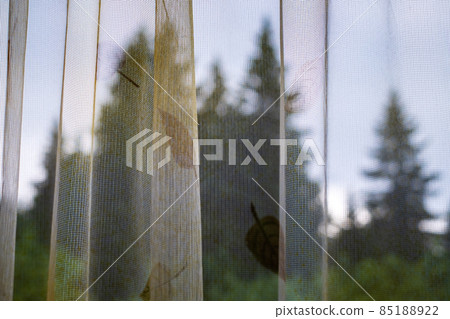 The view of the forest through the curtain. Peace and tranquility, calm and serenity 85188922