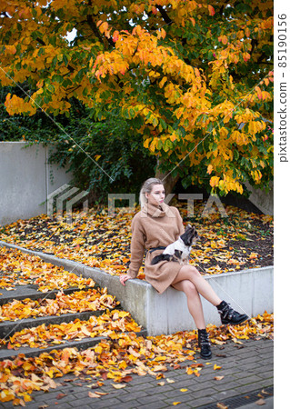 Woman with small dog among autumn leaves 85190156