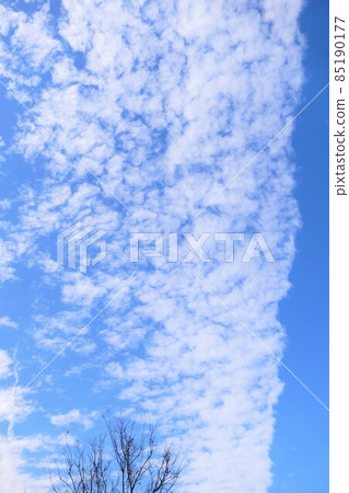 Huge streaks, autumn and winter sky, clear blue sky and cloud scenery like a big river Huge streaks, autumn and winter sky, clear blue sky and cloud scenery like a big river 85190177