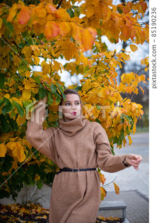 White young european woman among yellow leaves 85190236