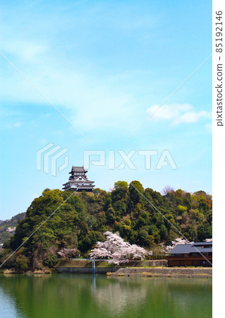 犬山市,犬山城和春天的櫻花景觀 犬山市,犬山城和春天的櫻花景觀 85192146