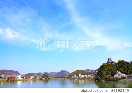 犬山市，犬山城和春天的櫻花景觀 85192149