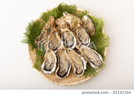 Raw oysters with shells (produced in Miyagi prefecture) Raw oysters with shells (produced in Miyagi prefecture) 85192304