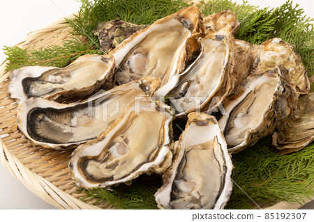 Raw oysters with shells (produced in Miyagi prefecture) Raw oysters with shells (produced in Miyagi prefecture) 85192307