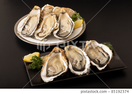 Raw oysters with shells 85192374