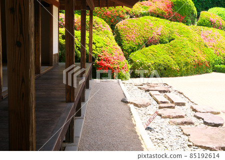 【瀨戶內33觀音聖地】岡山縣高橋市北條龍寺13號門廊和小月開花青海波 85192614