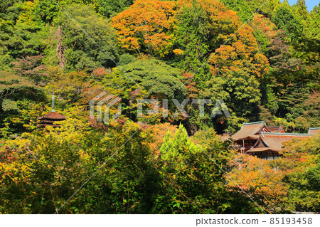 Autumn at Tanzan Shrine in Nara Prefecture Autumn at Tanzan Shrine in Nara Prefecture 85193458