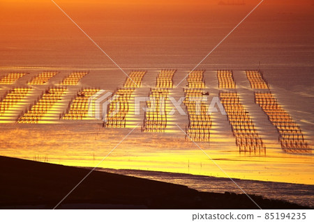 從白石町櫻之裡展望台眺望 85194235