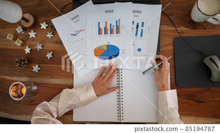 2022 annual business plan 2022 annual business plan 85194787