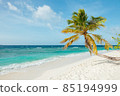 Tropical paradise in Maldives 85194999