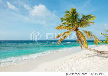 Tropical paradise in Maldives Tropical paradise in Maldives 85194999
