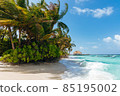 Tropical paradise in Maldives 85195002