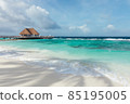 Tropical paradise in Maldives 85195005