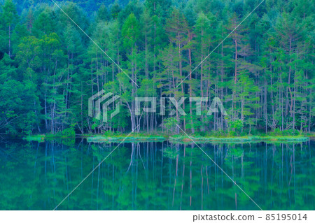 Mishakaike Pond (Summer) 85195014