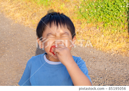 Boy eating tomato Boy eating tomato 85195056