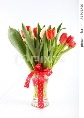 Bouquet of red and white tulips on a light background Bouquet of red and white tulips on a light background 85195250