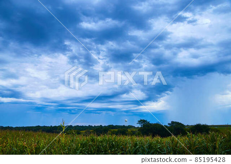 Water tower in stormy clouds with corn fields Water tower in stormy clouds with corn fields 85195428