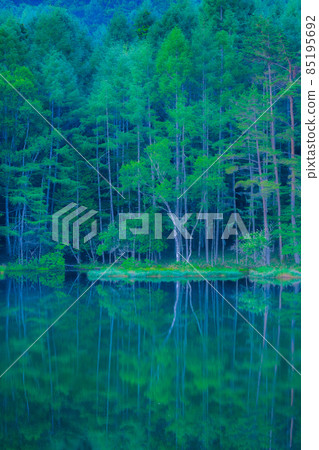 Mishakaike Pond (Summer) Mishakaike Pond (Summer) 85195692