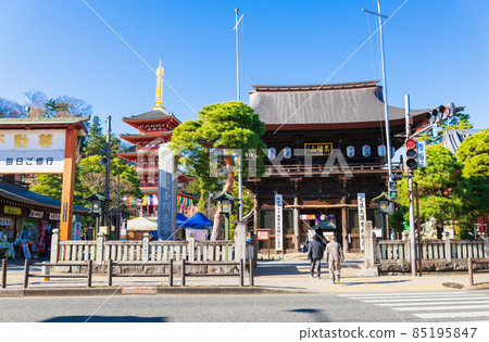 Tokyo Takahata Fudoson Kongoji Temple Niomon and Five-storied Pagoda Tokyo Takahata Fudoson Kongoji Temple Niomon and Five-storied Pagoda 85195847