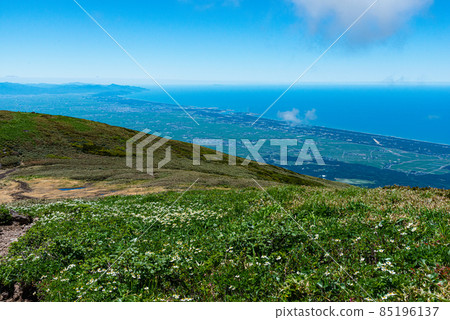 春季Shogatake徒步旅行：莊內平原和山上花田的日本海 85196137