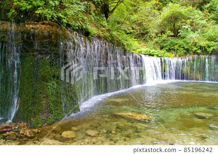 Summer Shiraito Falls Nagano Summer Shiraito Falls Nagano 85196242
