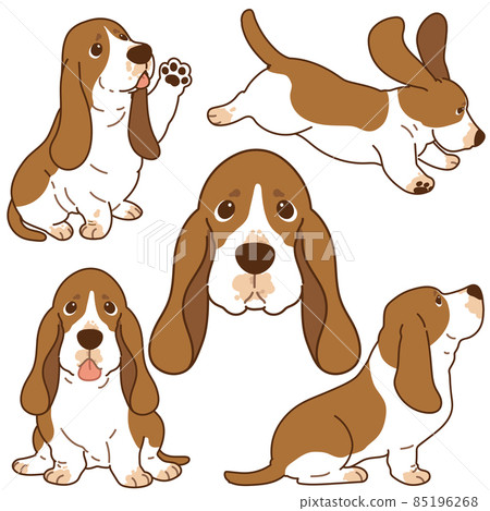 帶有主線的簡單可愛的巴吉度獵犬插圖集 85196268