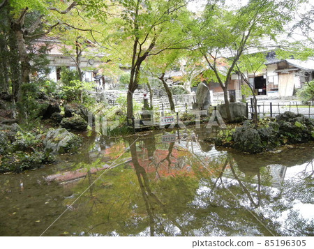 Autumn leaves reflected in a pond 85196305