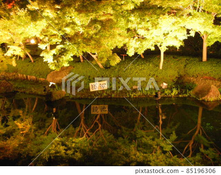Autumn leaves reflected in a pond 85196306